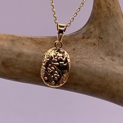 A delicate gold necklace with a small coin charm, featuring a tiny oval photo locket and a dainty chain.
