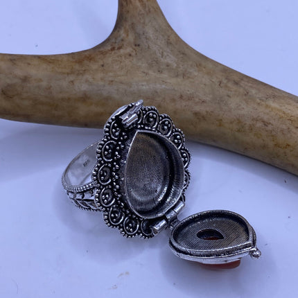 Vintage Silver Bronze Poison Ring | Red Carnelian | Unique Gift Statement Ring