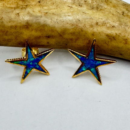Star Stud Silver Earrings