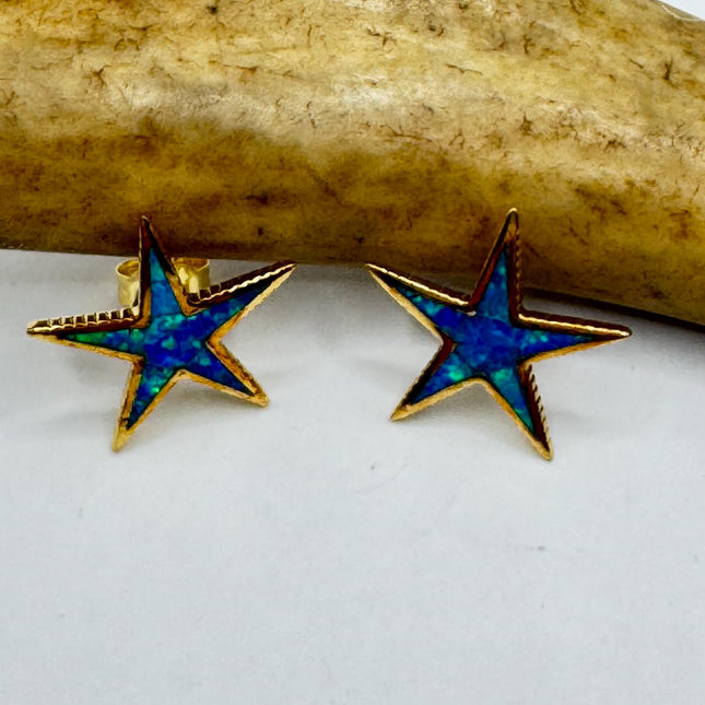 Star Stud Silver Earrings