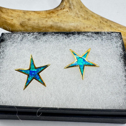 Star Stud Silver Earrings