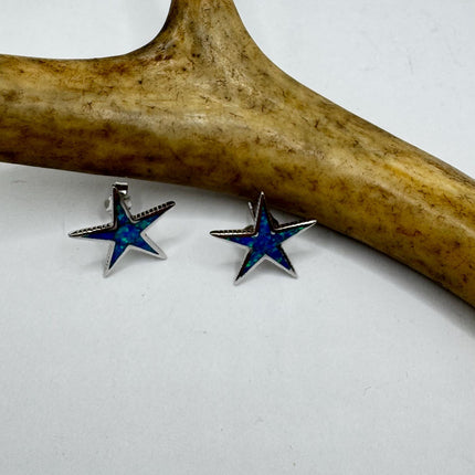 Star Stud Silver Earrings
