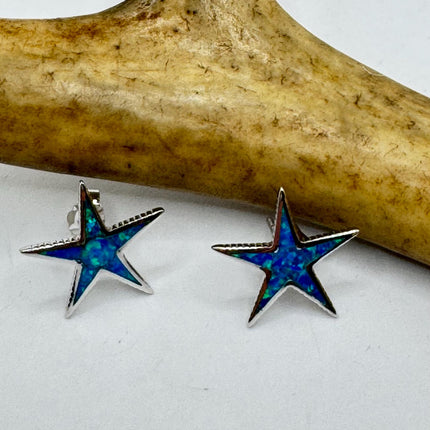 Star Stud Silver Earrings