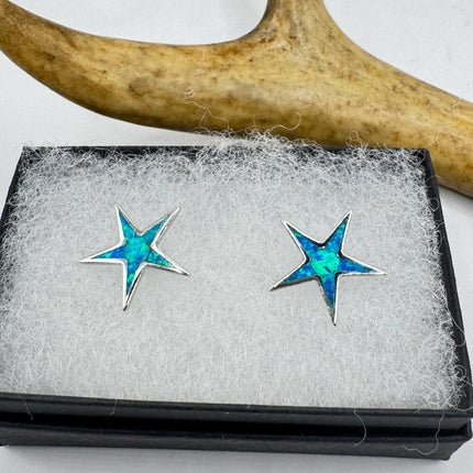 Star Stud Silver Earrings