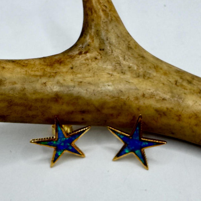 Star Stud Silver Earrings