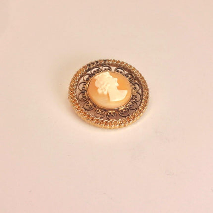 Vintage Carved Shell Cameo Brooch Pin: Gold Filled, Black Velvet Choker