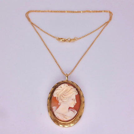 Vintage Cameo Pendant Necklace: Gold Filled Charm with Matching Chain