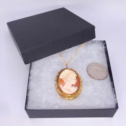 Vintage Cameo Pendant Necklace: Gold Filled Charm with Matching Chain