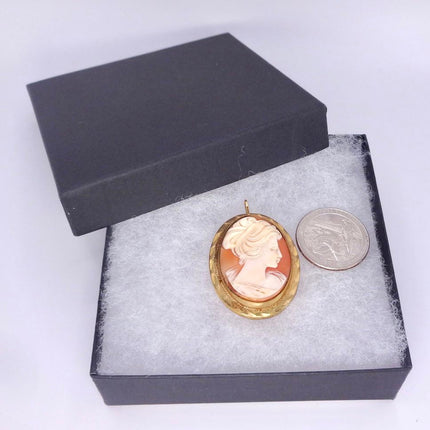 Vintage Cameo Pendant Necklace: Gold Filled Charm with Matching Chain