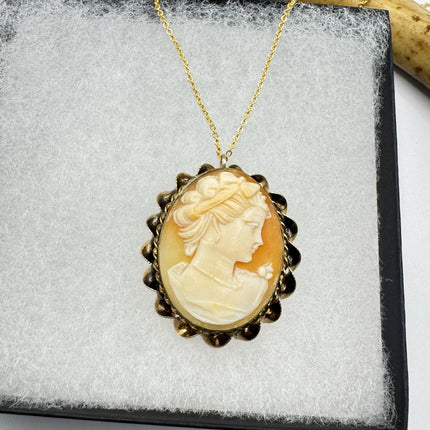 Vintage Cameo Pendant Necklace: Gold Filled Charm with Matching Chain Pin Brooch