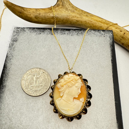 Vintage Cameo Pendant Necklace: Gold Filled Charm with Matching Chain Pin Brooch
