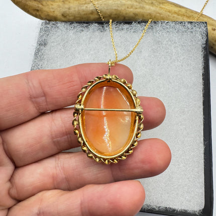 Vintage Cameo Pendant Necklace: Gold Filled Charm with Matching Chain Pin Brooch