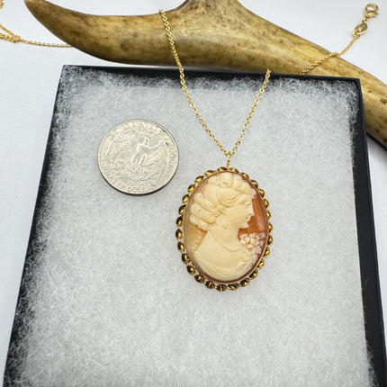 Vintage Cameo Pendant Necklace: Gold Filled Charm with Matching Chain Pin Brooch