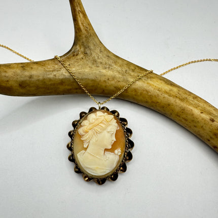 Vintage Cameo Pendant Necklace: Gold Filled Charm with Matching Chain Pin Brooch