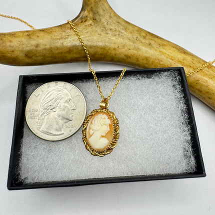 Vintage Small Cameo Pendant Necklace: Gold Filled Charm with Matching Chain Pin Brooch