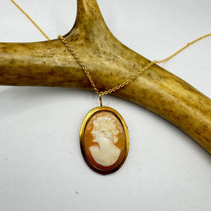 Vintage Small Cameo Pendant Necklace: Gold Filled Charm with Matching Chain Pin Brooch