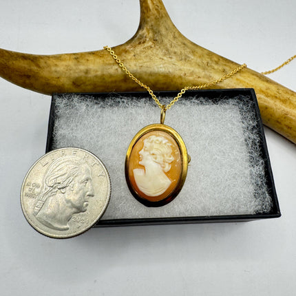 Vintage Small Cameo Pendant Necklace: Gold Filled Charm with Matching Chain Pin Brooch