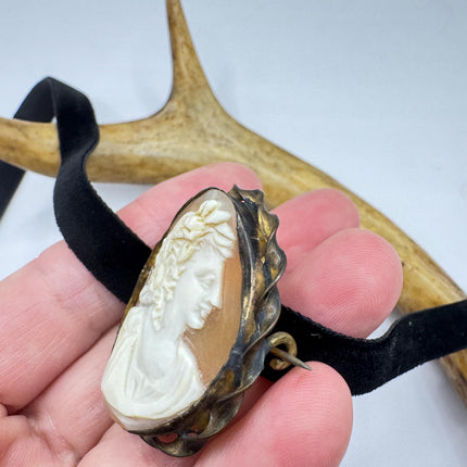 Vintage Carved Shell Cameo Brooch Pin: Gold Bronze Black Velvet Choker