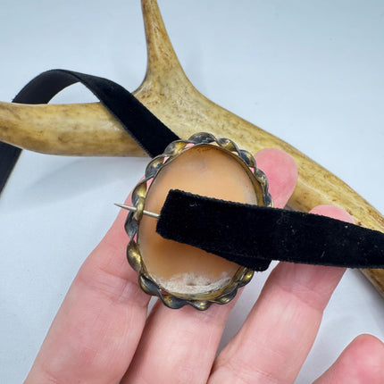 Vintage Carved Shell Cameo Brooch Pin: Gold Bronze Black Velvet Choker